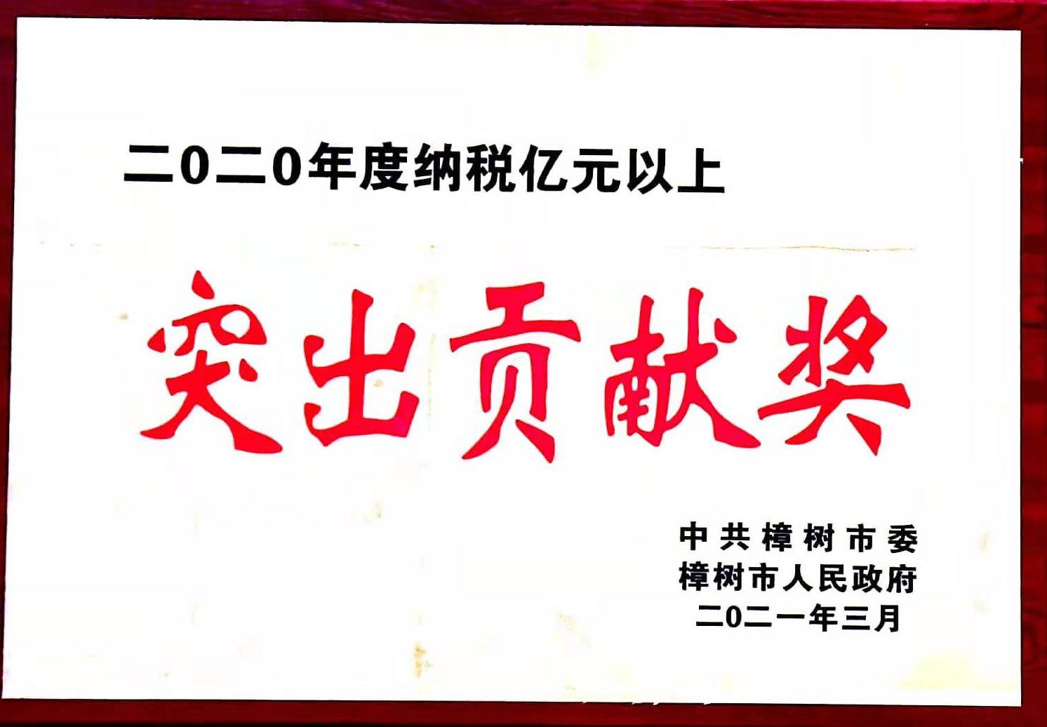 2020年度納稅億元以上 突出貢獻(xiàn)獎